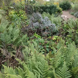 Südpark