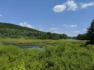 Macricostas Preserve
