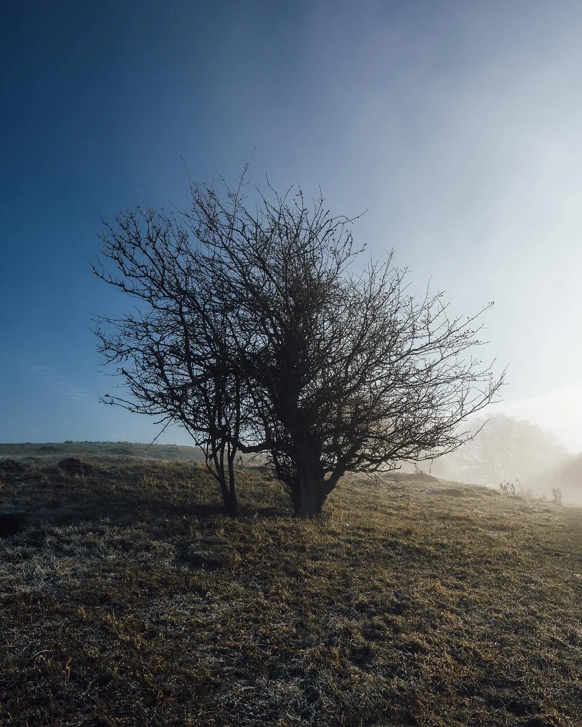 National Trust - Walton Hill