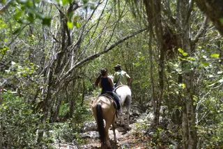 Rancho Bayahibe