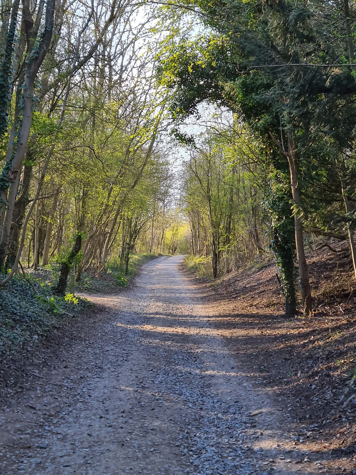 Newlands Corner