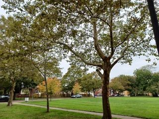 Pallister Park