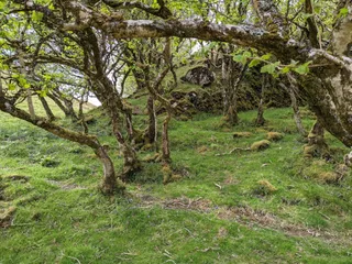 Castle Ewen