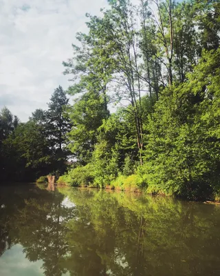 Ekologiczny Park Grabowki