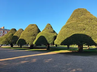 Hampton Court