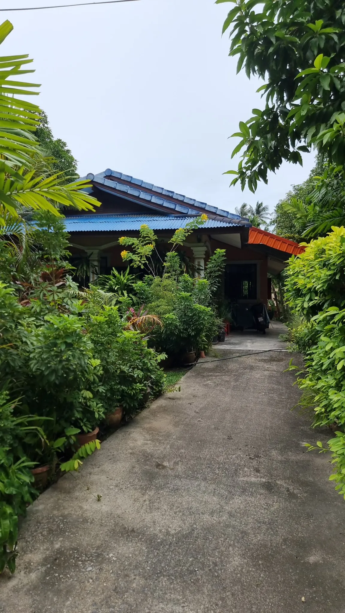 Sonja's Thai Cooking Class Samui