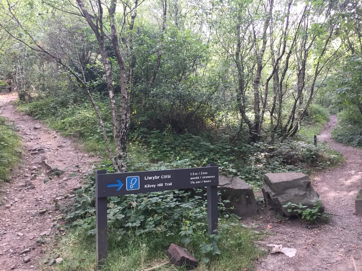 Kilvey Hill Trail