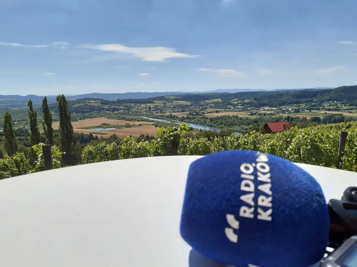 Winnica Uroczysko