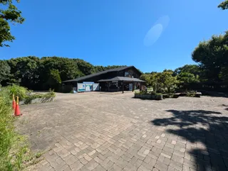 Tokyo Port Wild Bird Park