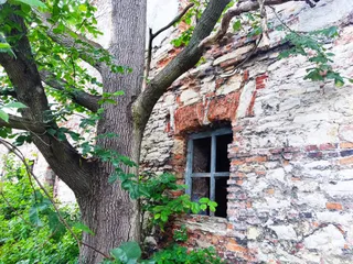 Ruiny pałacu we Włodowicach