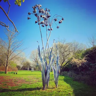 Fire & Iron Gallery