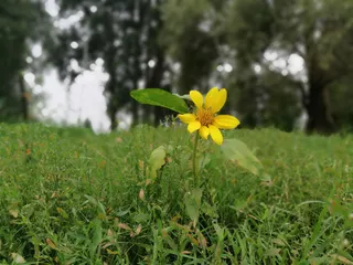 Plac Zabaw nad Martówką