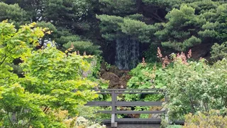 Royal Botanic Garden Edinburgh
