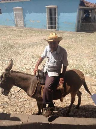 Jabira Cubano Parque