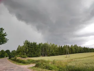 Rezerwat przyrody Wierzchowiska
