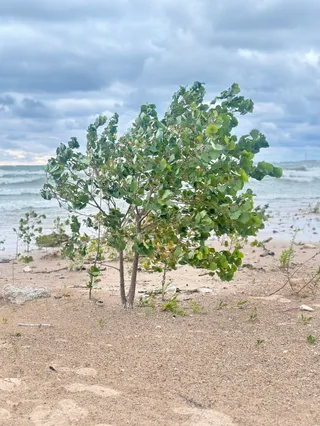 Rainbow Park Beach
