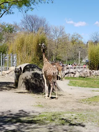 Roger Williams Park Zoo