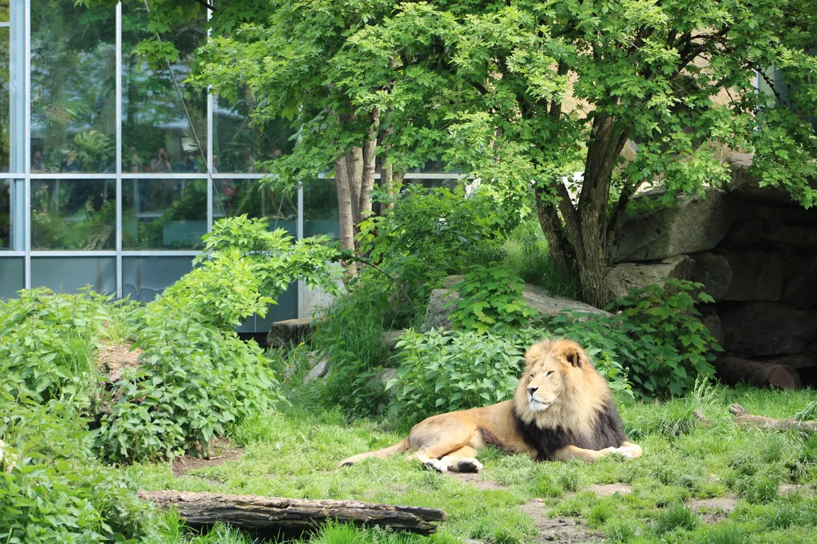 Hellabrunn Zoo