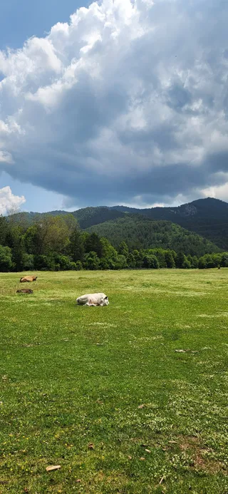 Camping Site Albania - Farma Sotira