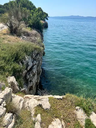 Viewpoint