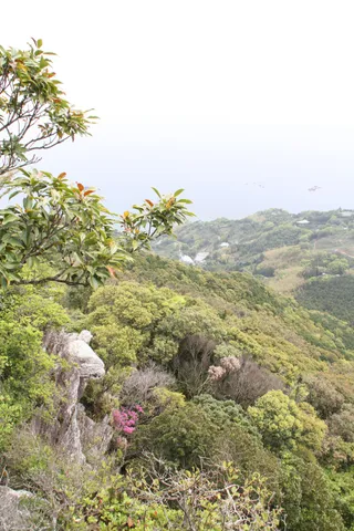 悪所岳山頂