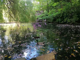 Highbury Park