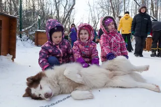 Husky-Park