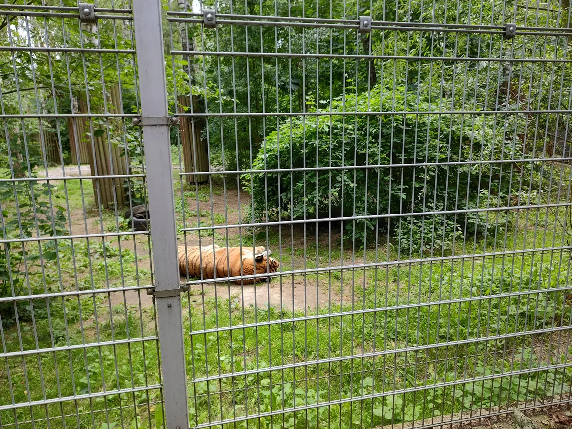 Ogród Zoologiczny w Bydgoszczy