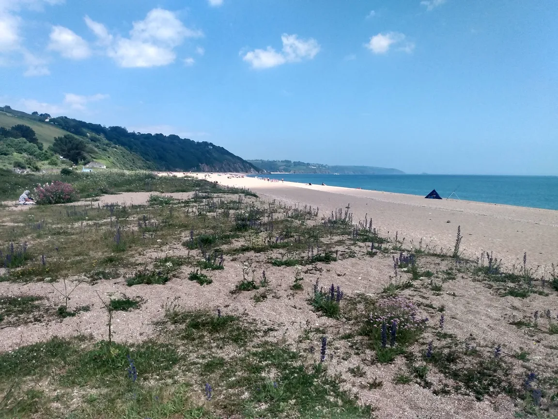 Strete Gate