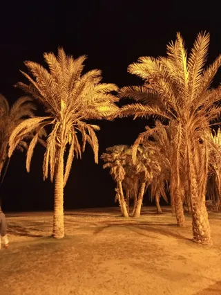Playa de la Misericordia