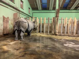 Plzeň Zoo