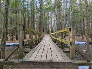 Amethyst Brook Conservation Area