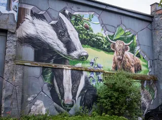 Fellow Glasgow Residents Mural Street Art