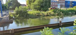 Ecluse n°35 de Zillisheim