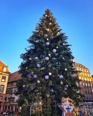 Grande-Île de Strasbourg
