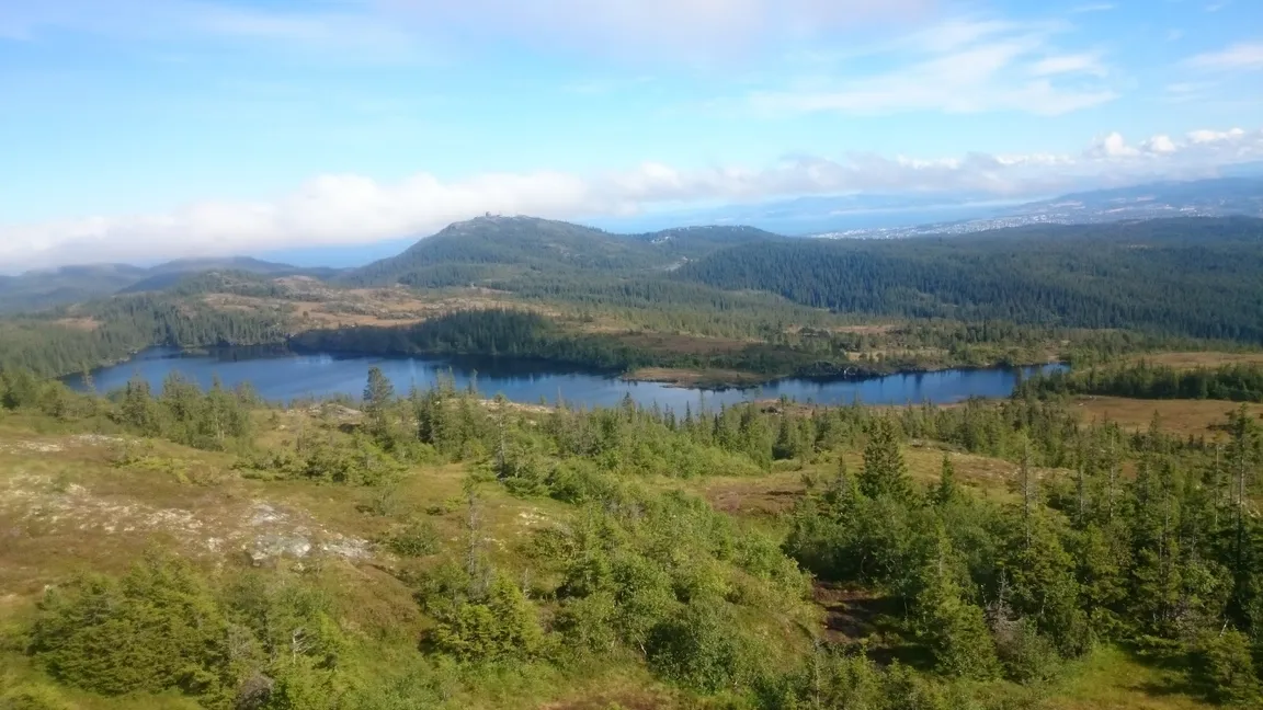 Bymarka