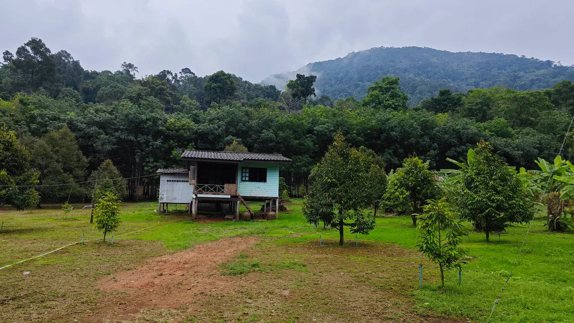 Ban Kwan Chang Elephant Camp