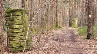 Obelisk z sentencją Władysława Bełzy