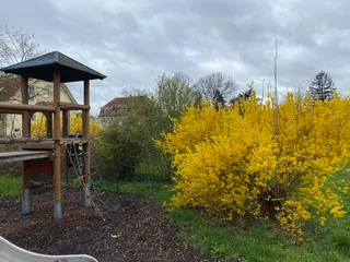 Park am Bürgeramt