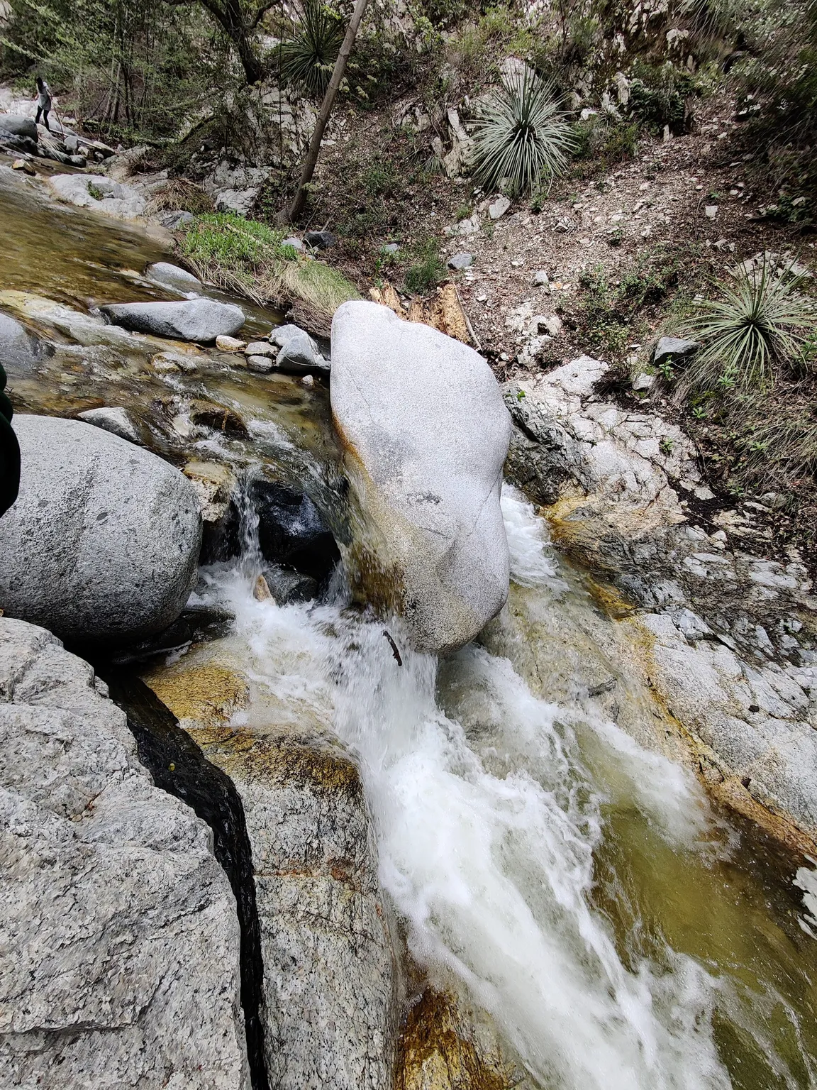 Switzer Falls Trail