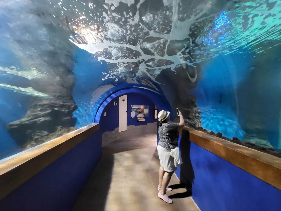 Lanzarote Aquarium