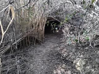 Innsdale Trailhead