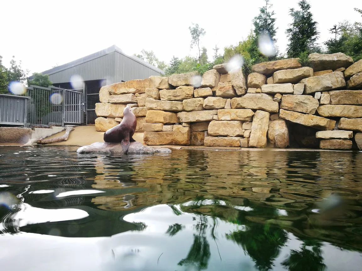 Dublin Zoo