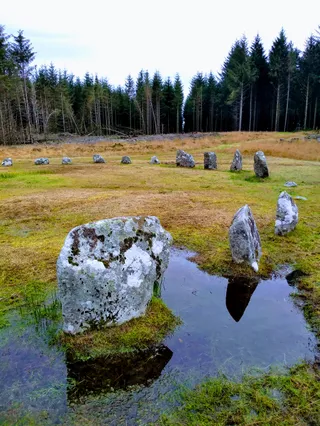 Fernworthy Stone Circle