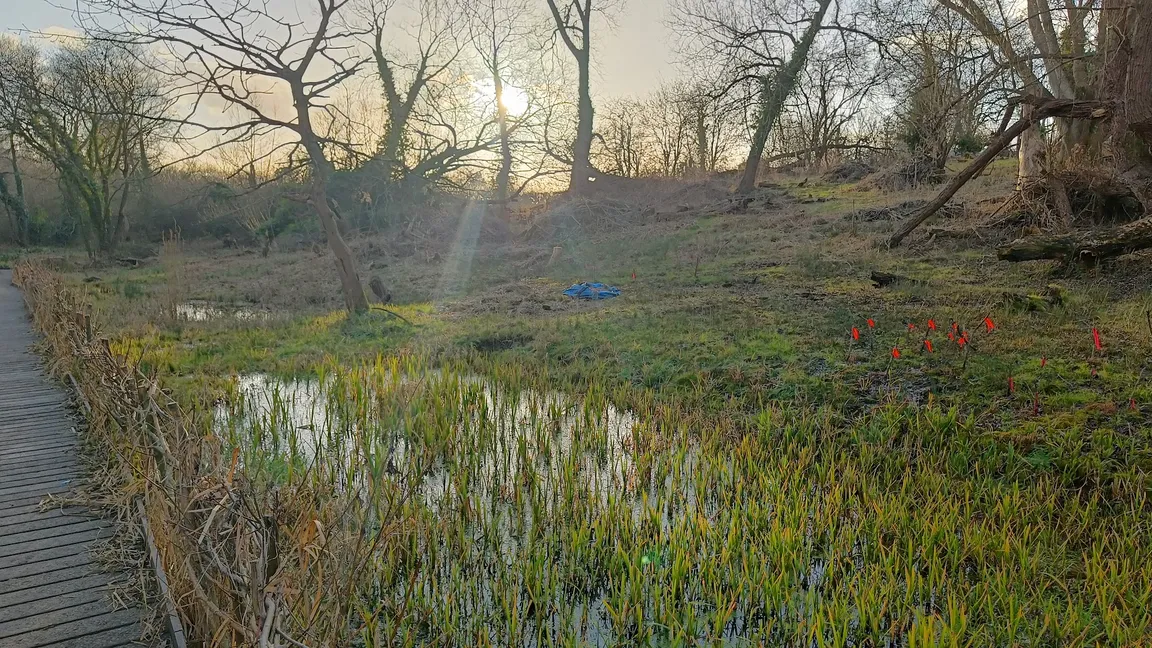 Lye Valley path