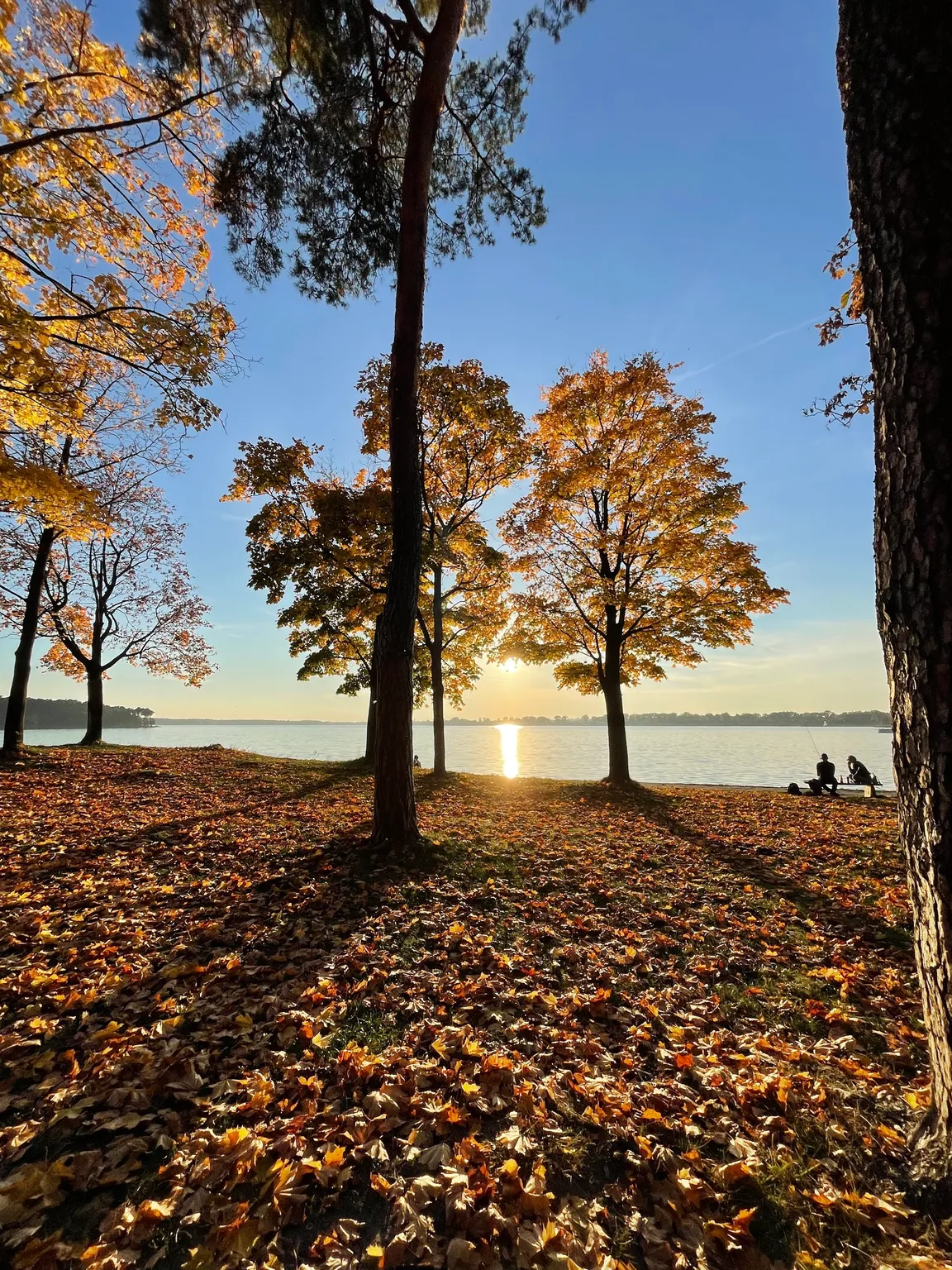 Park Linowy Nad Zalewem Zemborzyckim