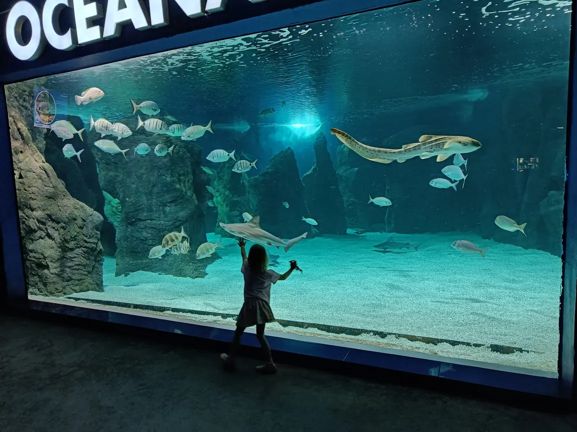 Lanzarote Aquarium