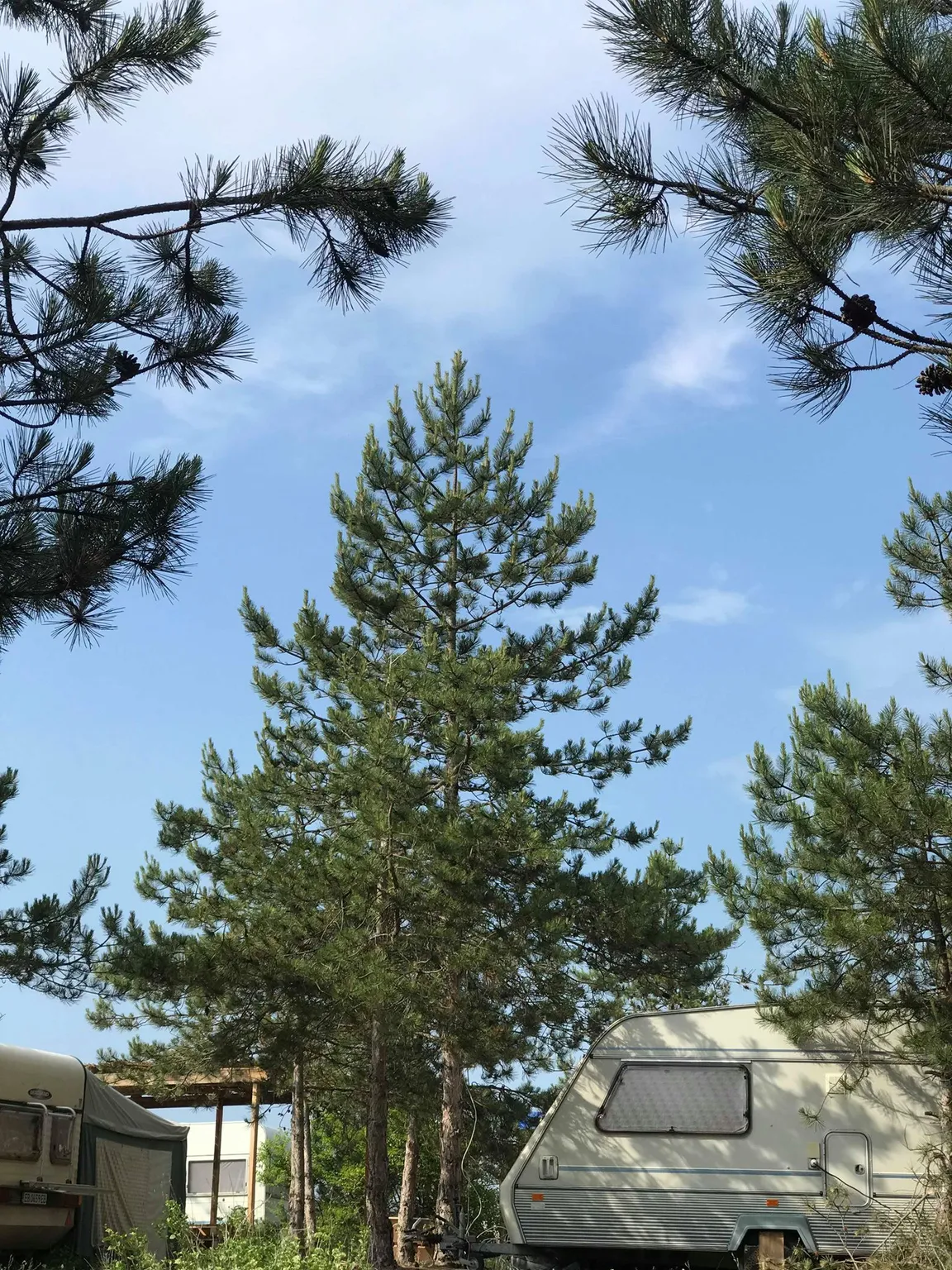 Offshore Camp
