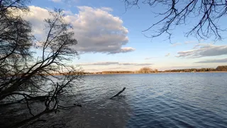 Ruiny dworku Szaniawskich