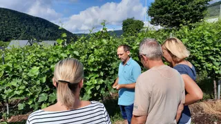 Weingut Volker & Andrea Balles